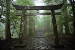 神社に歓迎されてないサインや拒絶のサイン！神様に歓迎される人の特徴は？
